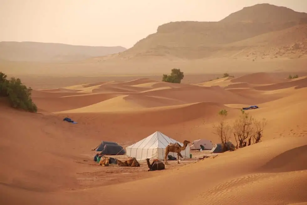 Desert camp with tents and camels nestled between golden sand dunes.